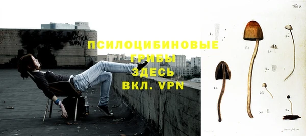 прущие крисы Нея