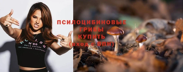 ECSTASY Абинск