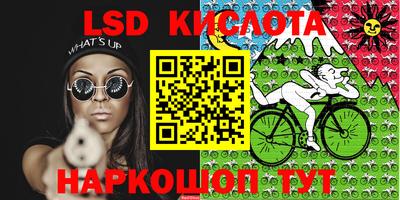 гашик Донской