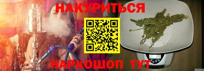 гашик Донской