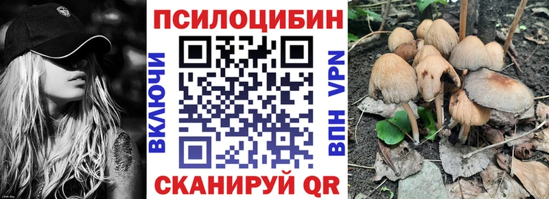 Псилоцибиновые грибы GOLDEN TEACHER  hydra ссылки  Стрежевой  цены наркотик 