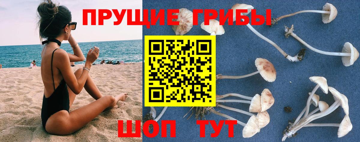 Псилоцибиновые грибы MAGIC MUSHROOMS  Вход с VPN  Псилоцибиновые грибы GOLDEN TEACHER  Стрежевой 