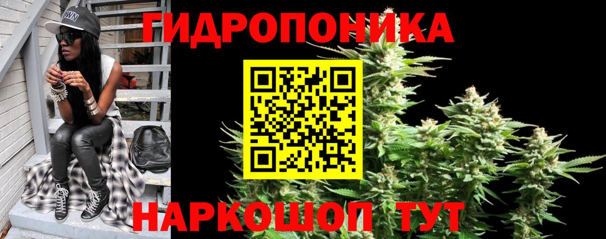 Стрежевой  Бошки марихуана SATIVA & INDICA  Канабис OG Kush  Вход с VPN 